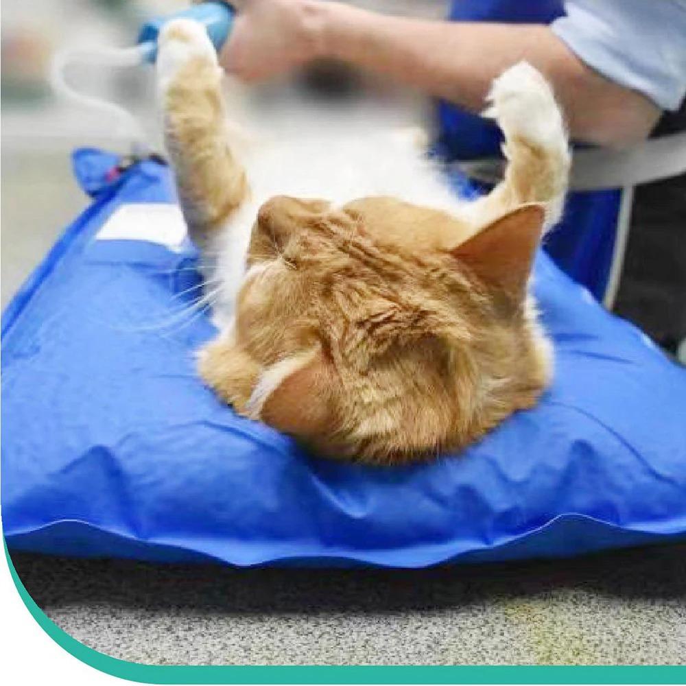 Tierchirurgische Zubehörteile Haustier-Vakuum-Positionierungsmatte Kleine Veterinär-Untersuchungsmatte Haustierpflege-Raum
