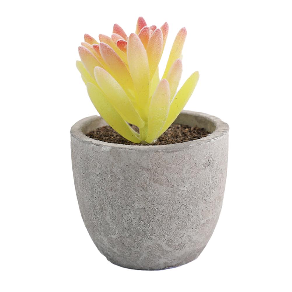 Desktop Ornament Indoor Greenery Desktop Arrangement Stylish Home D cor Versatile Design High Quality Materials
