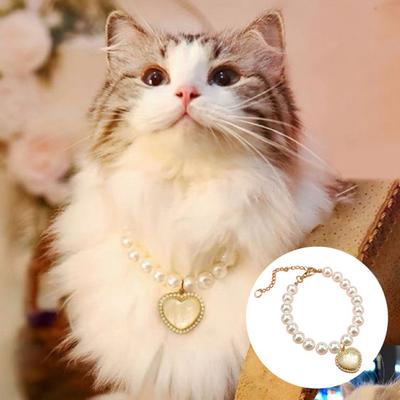 Abbigliamento e scarpe – Accessori per cani
