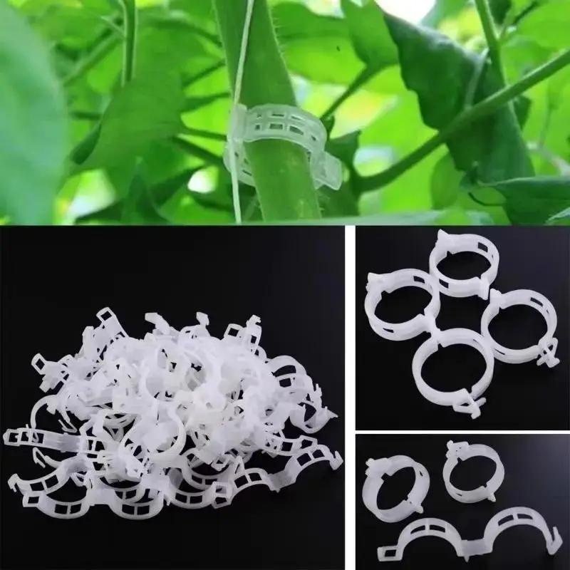 50/100 Pieces Of Plant Clips Support Reusable Plastic Connection Fixing Vines Protection Grafting Fixing Tools Home Supplies
