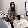 Herbst Neues Leopardenmuster Strickpullover Damen Rundhalsausschnitt Koreanischer Lockerer Fauler Stil Internet-Berühmtheit Frisches Strickoberteil