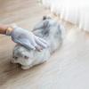 Cartoon Cat Hair Removal Gloves Silicone Soft Dog Bath Brush Gloves Mesh Fabric Cat Grooming Glove Pet Hair Removal Brush
