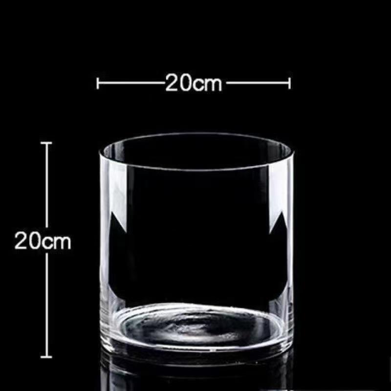 Transparent Glass Flower Vase & Hydroponic Container - Floor Ornament