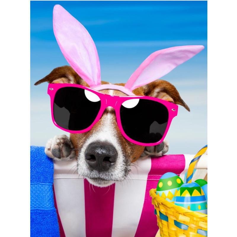 5D-Diamantmalerei zum Selbermachen, fröhlicher cooler Strandhund, Diamantstickerei, Kreuzstich-Set, voller Strass, Mosaik, Heimdekoration