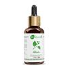 Naturalis Camphor Oil - Pure and Natural Steam Distilled Camphor Essential Oil for Skin, Hair and Aromatherapy - Camphor Mosquito Repellent - 30ml
