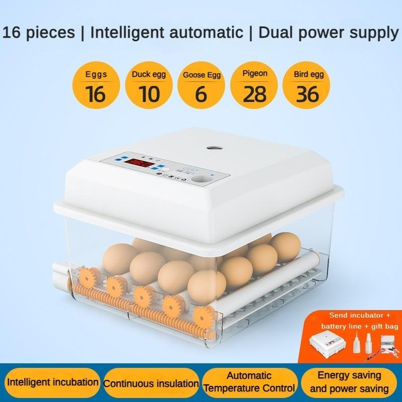50W Household Fully Automatic Incubator Intelligent Continuous Constant Temperature Incubator Small Digital Display Screen Egg Hatcher
