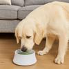 Spill Proof Pet Water Dispenser Large Capacity Dog Drinking Bowl Cat Water Fountain  for Home