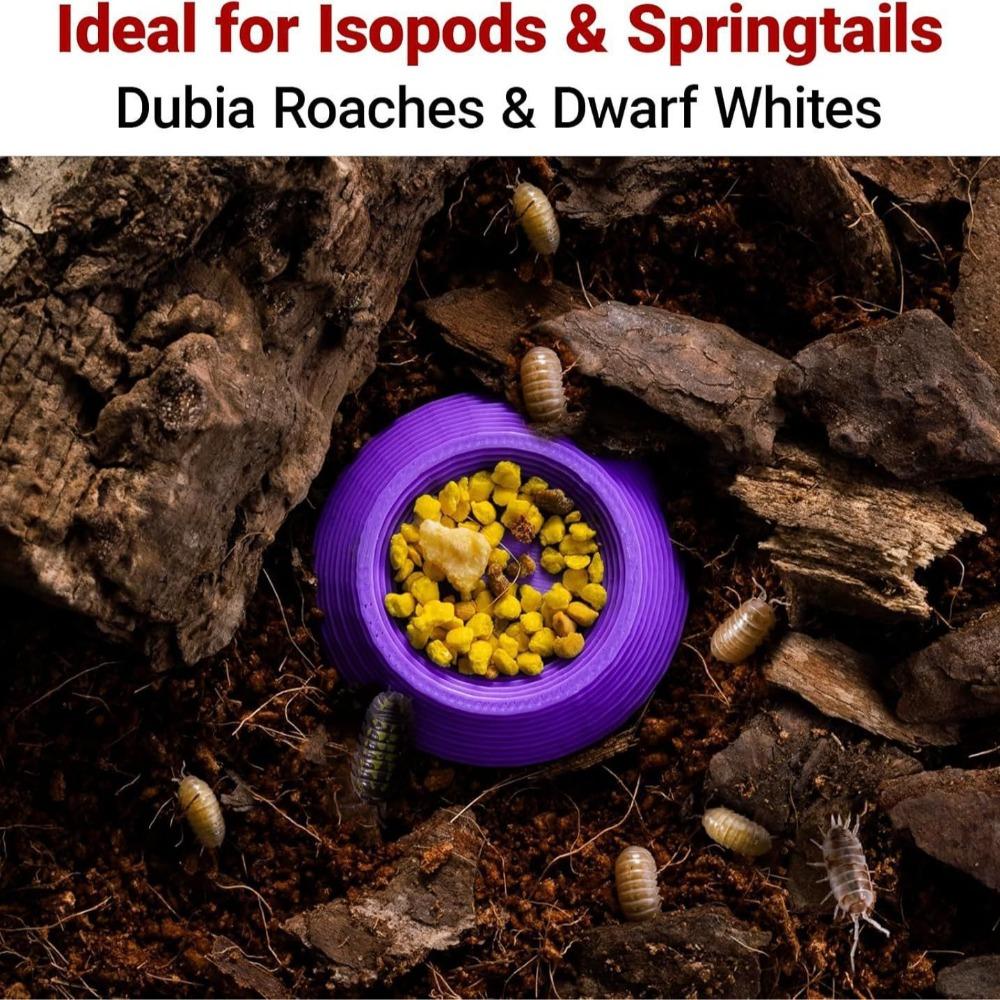 Pack of 12 Small Invertebrate Feeding Bowls Cockroach Food Bowls YYH69