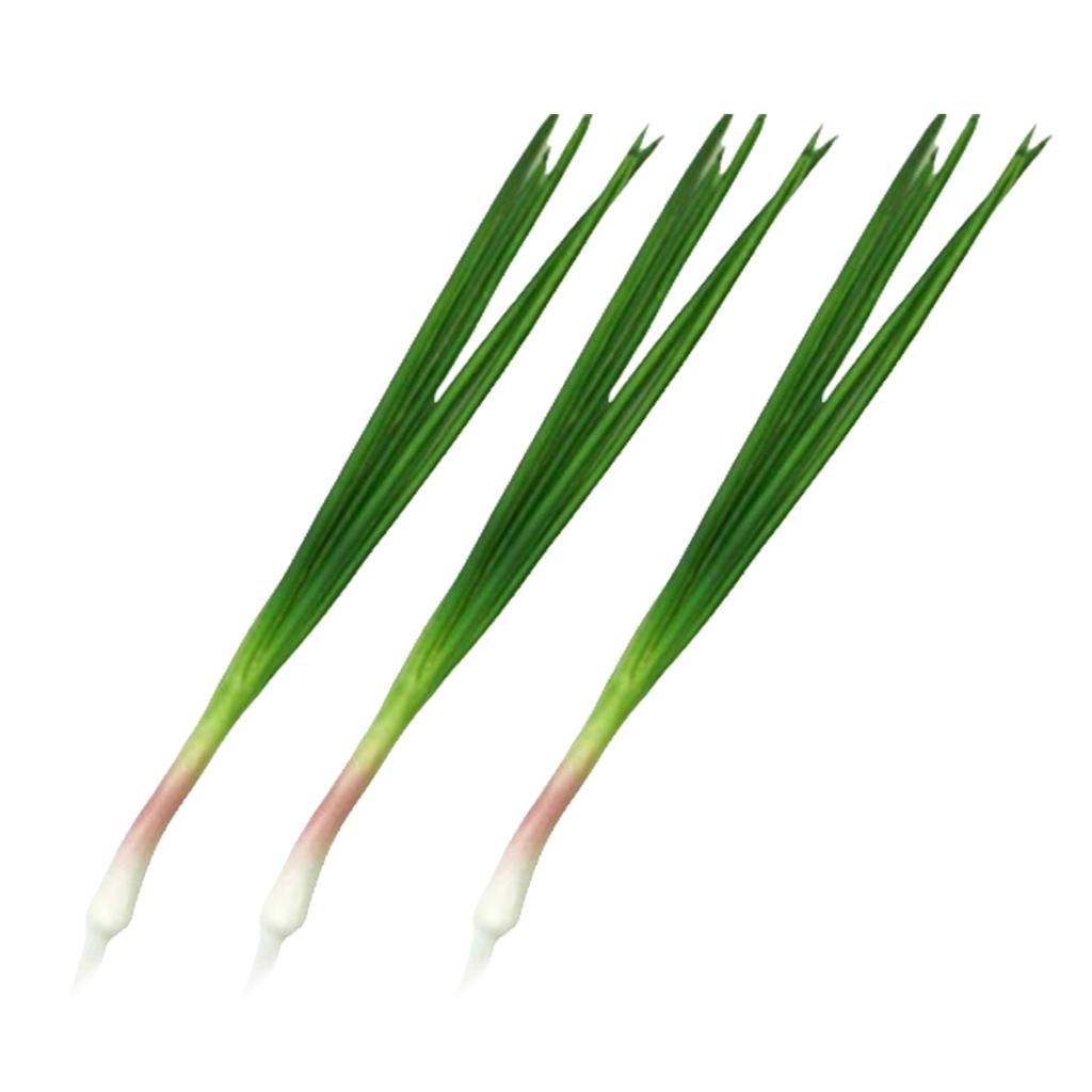 Set Of 3 Artificial Green Scallions Artificial Green Onion Vegetables for Kitchen Home Party Decoration Shop Display