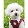 Polyester Haustierkleidung Teddy Hundekleidung Frühling Sommer Haustierjacke Katzenkleidung Weinrot Marineblau Schwarz Hundemantel mit einer Fliege