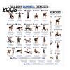 Beginner Friendly Fitness Guide 2 Pcs Dumbbell Workout Chart Poster, Full Body Exercise Training Routine Wall Art, Strength for Home Gym