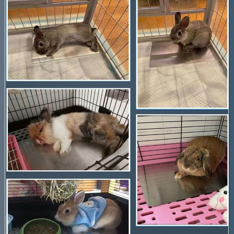 Pet cooling pad summer cooling plate heat dissipation pad summer cooling and heat dissipation stainless steel plate pet supplies