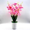Potted Simulation Daffodils Artificial Artificial Flowers And Bonsai Plants