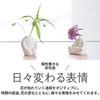 Ash Concept (h Concept) Single Flower Vase Seiza Seiza +d Flowerman Mini Single Item D-902-SEI