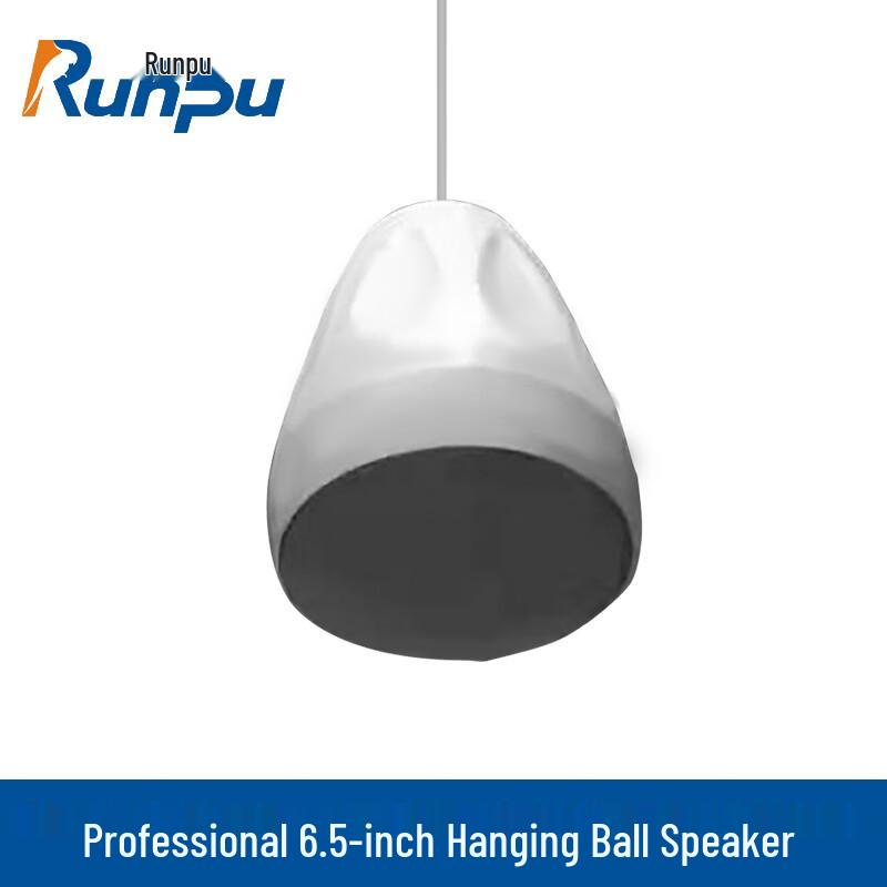 Runpu Professional Public Address Speaker Systems CN Plug (adapter Included)