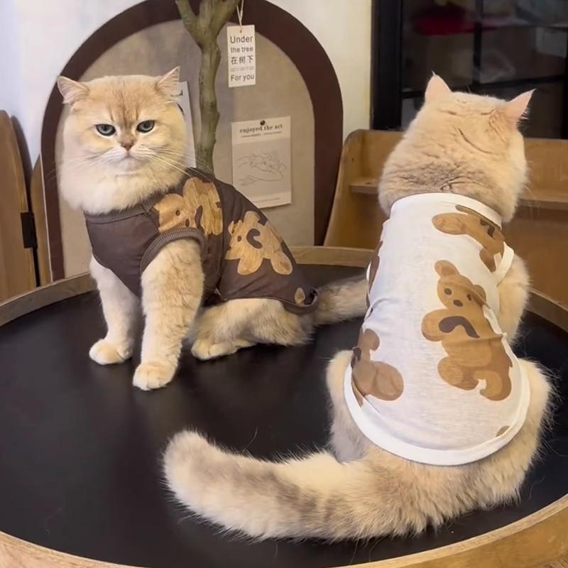 Cat Clothes Anti-hair Loss Thin Breathable Mesh Vest Pet Gold and Silver Gradient Kitten
