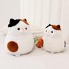 Anime Movie Animal Cat Plush Doll Cartoon Anime Peripherals Dolls Stuffed Toys Cat Plush Toys  Fans