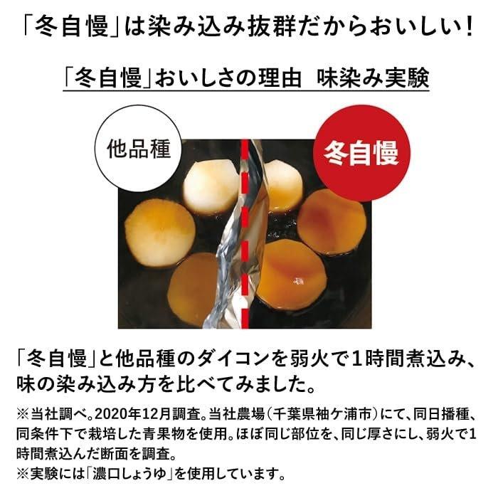 Sakata Seed 'Fuyujiman' Semena zimní bílé ředkve, Prémiová japonská zelenina pro lahodné podzimní/zimní sklizně