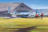 Trumpeter 1/48 scale de Havilland Hornet F.1 plastic model