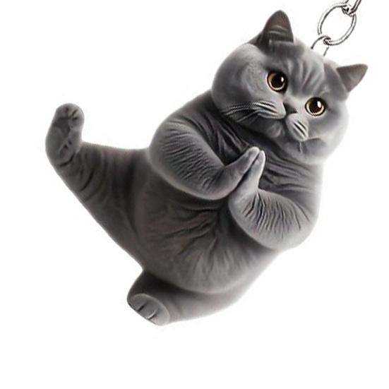 2 Stück Schlüsselanhänger 2D Flacher Acryl-Katzenanhänger Auto-Schlüsselanhänger Taschen Autos Geldbörsen Zubehör Geburtstage Feiertage Tägliche Nutzung
