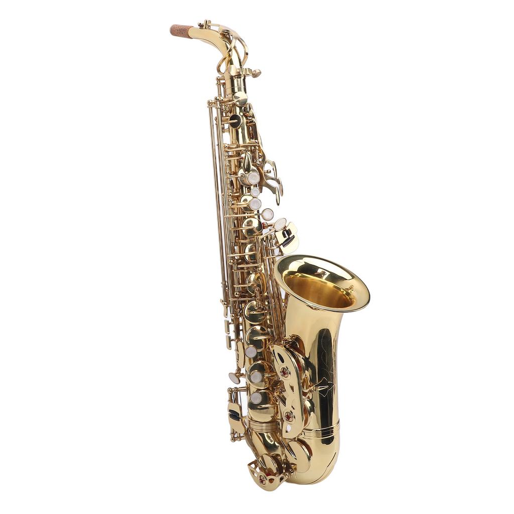 Eb Alto Saxophone Kit Golden Brass Engraving Curved Neck Saxophone Wind Instrument for All Players