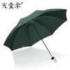Paradise Umbrella Genuine Goods Foldable Rain Or Shine Dual-Use Umbrella Business Umbrella Reinforced Water Repellent Advertising Umbrella Male and