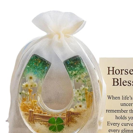 Horseshoe Blessing Pocket Hug with Positive Card Emotional Support Pocket Horseshoe Token Inspirational Lucky Horseshoe Decor Keepsake Gift