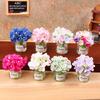 [JN] 1/12 Dollhouse Flower Miniature Flower Vase Model Doll Home Potted Plants Decor Toy Micro Landscape Plant