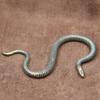 Vintage Brass Zodiac Snake Miniatures Desktop Ornaments Creative Animal Figurines Home Decorations Accessories Tea Pet Crafts