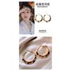 Vintage Leopard Print Large Hoop Earrings For Women Light Luxury Niche Unique Jewelry