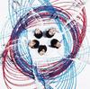 Albums de musique