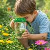 Insecten – Insecten terrariums