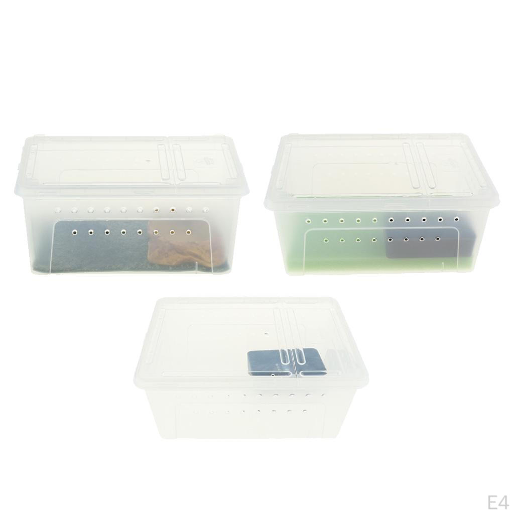 Pet Reptile Spider Breeding Box Transport Case Feeding Hatching Tank