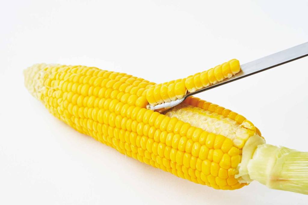 Yoshikawa EA to CO Poro Muku 7041577 & (Corn Peeler/Avocado Cutter)