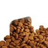 Pet Supplies, Large Capacity Water Dispenser, Automatic Feeder Drinking Water, Dry Wet Separation Food Container, Pet Cat