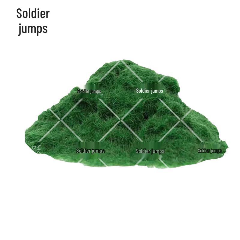 Sandbox Model Grass Powder