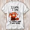 I Came I Saw I Forget What I Was Doing Forgetful Red Panda T and Kids Tshirt Best Seller Funny Movie Gift Music Meme Top Tee 3992