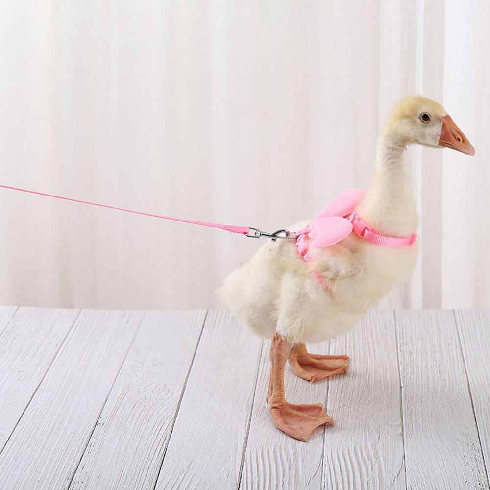 Polyester Pet Decor Vest Chest Strap Angel Wing Harness Hamster Clothes Puppy Leashes Duck Harness
