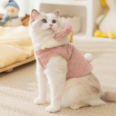 Kedi – Kediler için giyim