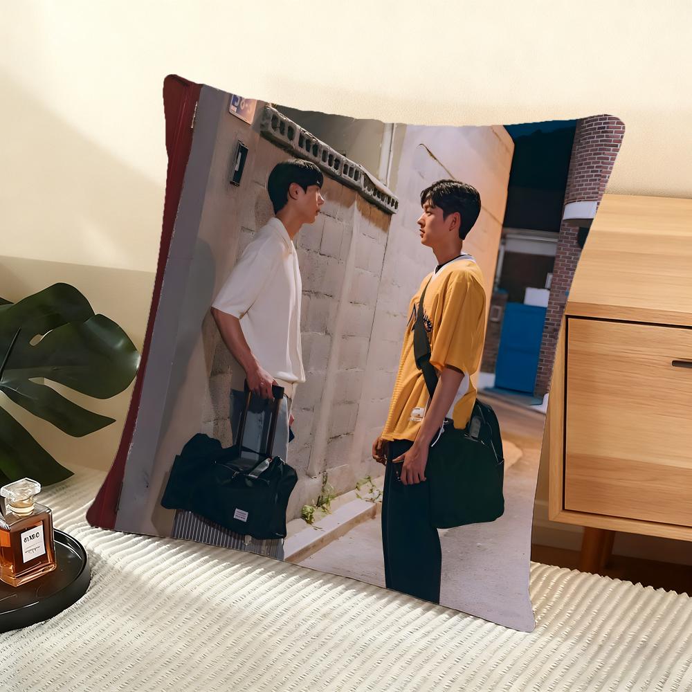 Cushion Cover Silky Short Plush Home Sofa Cushion Cover - Invisible Zipper Home Decoration A Breeze Of Love 12x12Inch