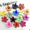 Retro Colorful Frangipani Flower Hair Claw Clip for Women