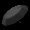 Paradise Automatic 10-Rib Sun & Rain Umbrella