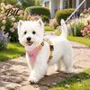 Durable Metal Traction Ring No Pull Dog Harness with 5Ft Leash, Cute Colorful Wings Harness, Adjustable Medium Walking Vest Reflective Handle