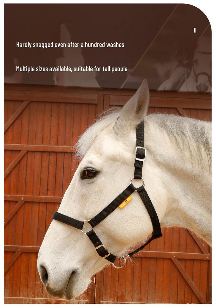 Durable Woven Horse Halter & Lead Rope for Training and Riding