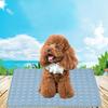 Pet Park Summer Pet Dog Cat Self Cooling Mat Heat Relief Mesh Bed Sleeping Cushion Pad