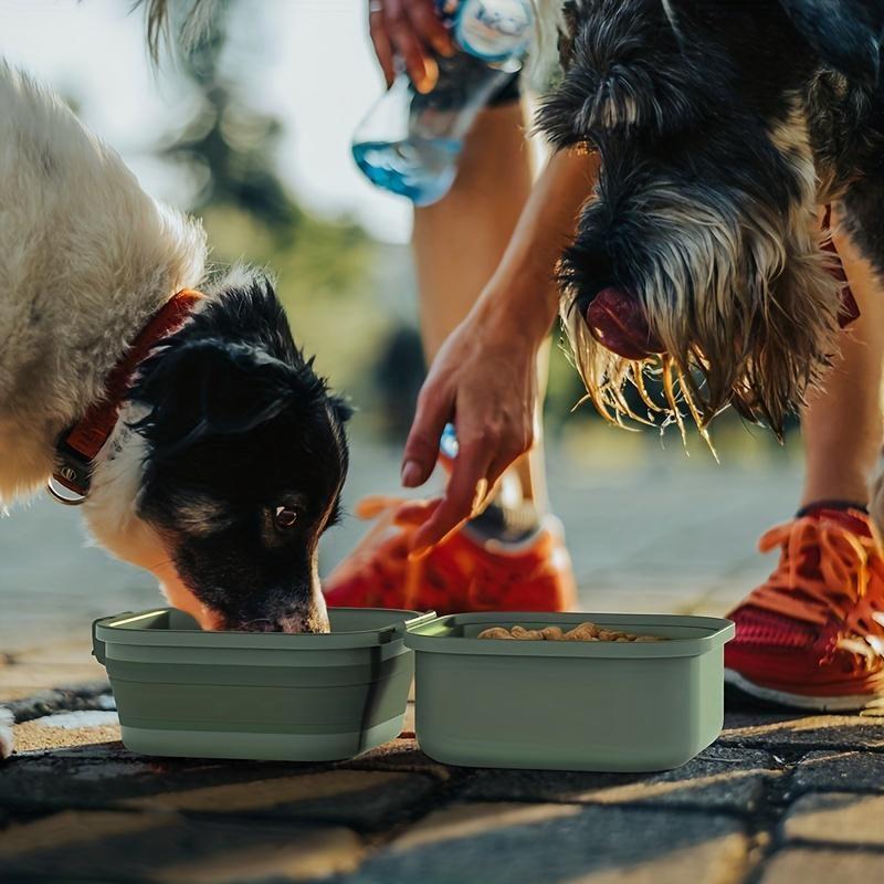 2-in-1 Collapsible Double Pet Bowls - Leak Proof, Portable,Pet Food and Water Feeder - Travel Dog Bowls with Lid for Outdoor Travel and Walking