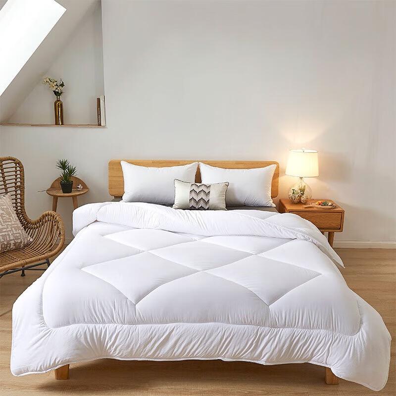 

Homeshine Eco-friendly Winter Duvet Insert