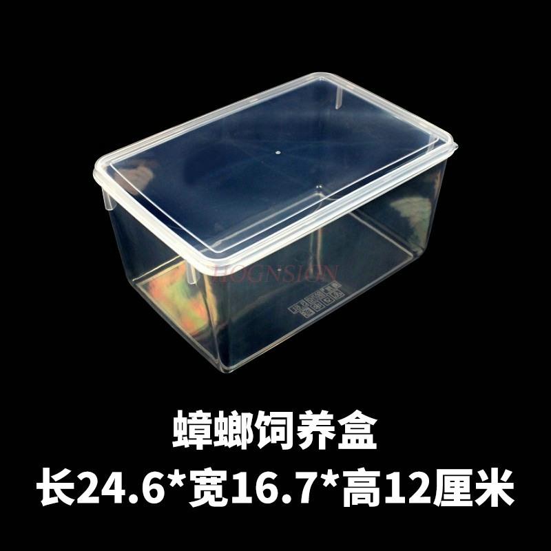 Insect Feeding Box Cherry Red Cockroach Dubia Cockroach Bread Worm Barley Worm Cricket Honey Worm