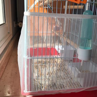 Mesh Bird Cage Cover Nylon Dustproof Birdcage Parrot Cage Net Pet Accessories Skirt Dust-proof Mesh Parrot House Cover