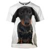 New Funny Animal The Dachshund graphic t shirts Men Summer Fashion Casual quick-drying t-shirt 3D Printed streetwear Tees Tops